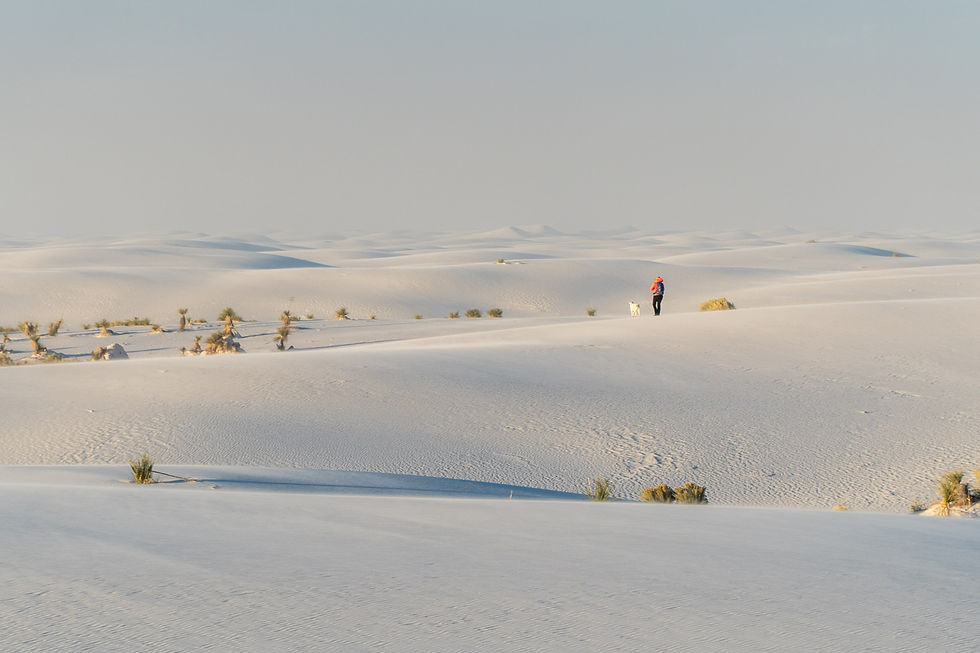 Alkali Flats Trail, White Sands National Park, New Mexico