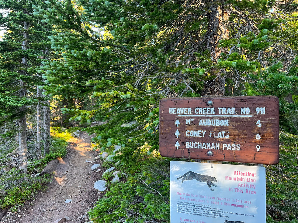 Mount Audubon Trail | Colorado