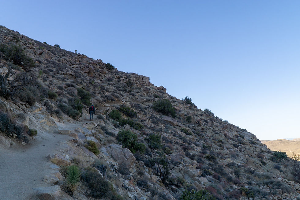 Ryan Mountain, Joshua Tree NP, California
