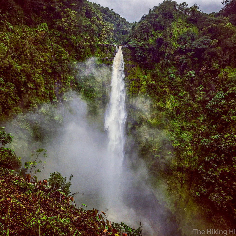 HILO WATERFALLS