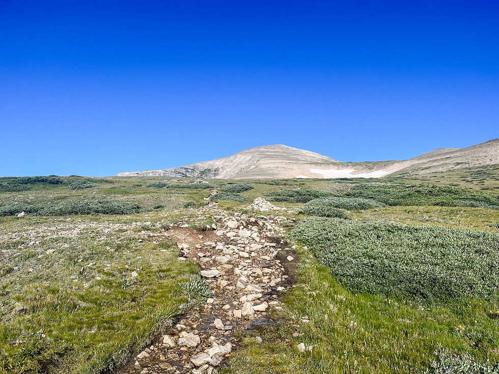 Mount Audubon Trail | Colorado