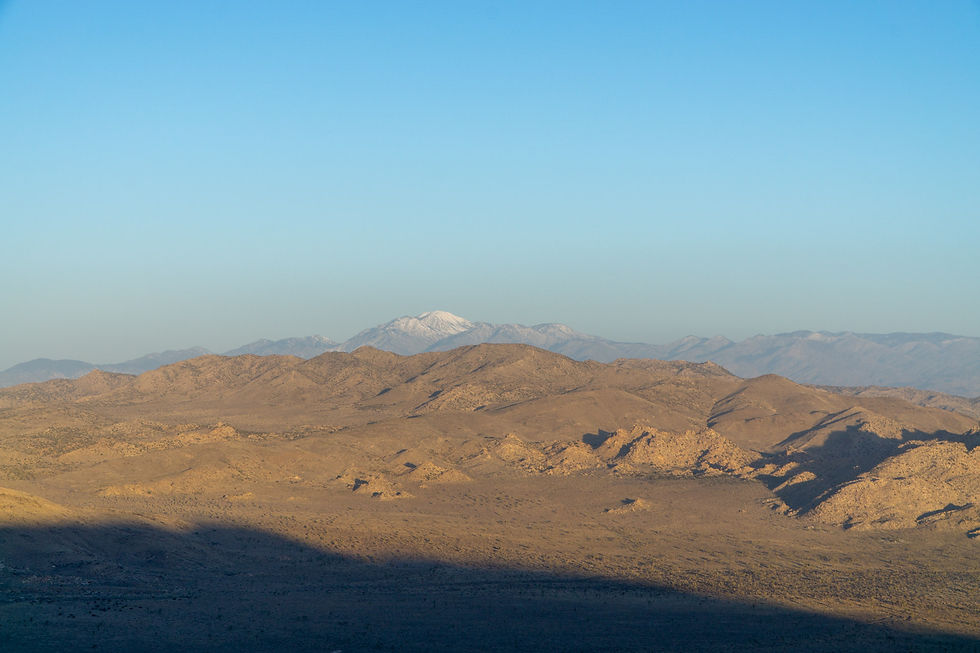 Ryan Mountain, Joshua Tree NP, California