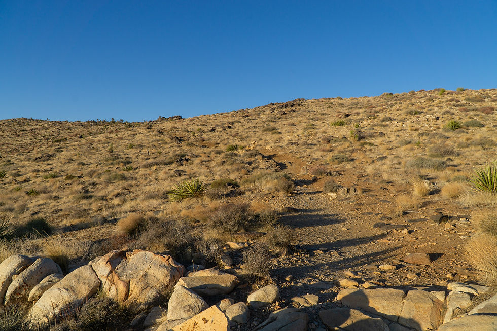 Ryan Mountain, Joshua Tree NP, California