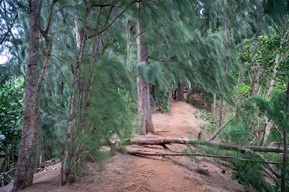 Olomana Trail ("Three Peaks") on Oahu, Hawaii