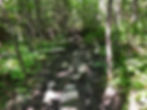 Mount Cube via Cross Rivendell, New Hampshire
