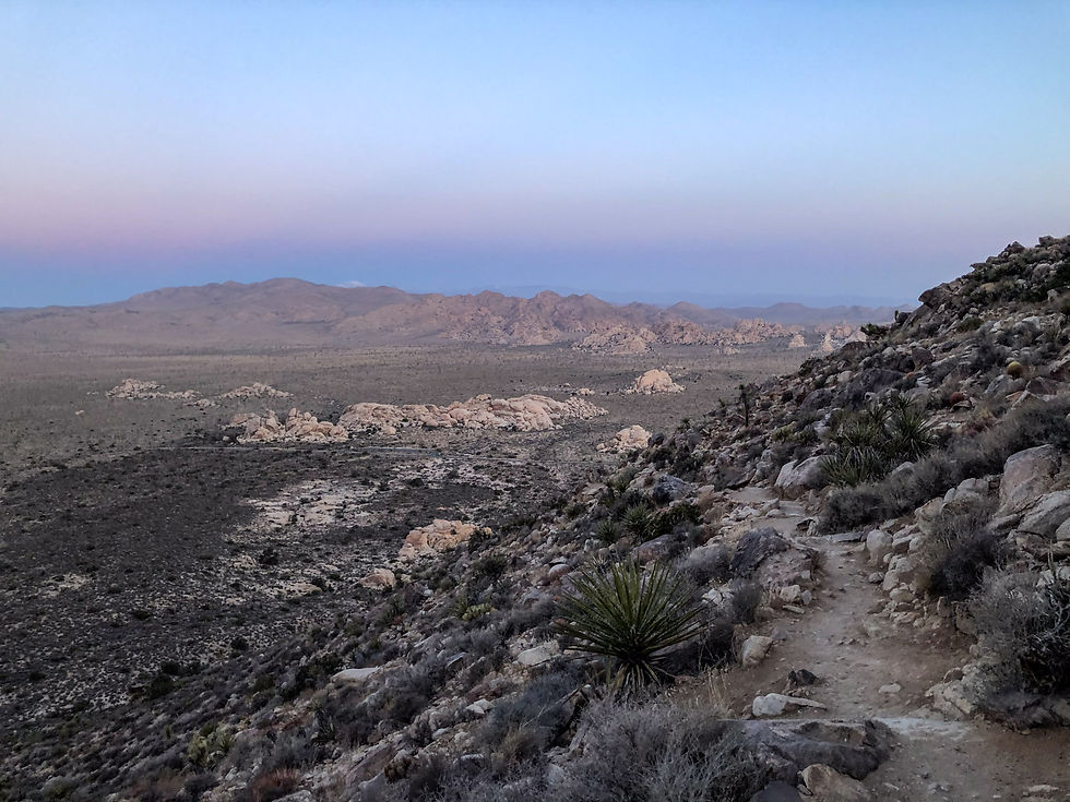 Ryan Mountain, Joshua Tree NP, California
