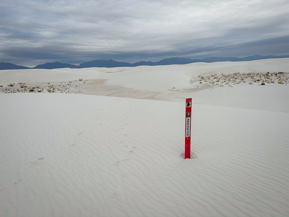 Alkali Flats Trail, White Sands National Park, New Mexico