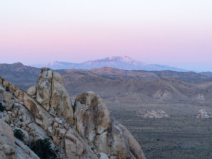 Ryan Mountain: Big Views in Joshua Tree NP