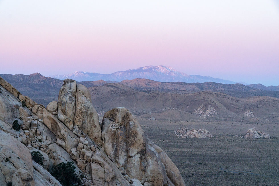 Ryan Mountain, Joshua Tree NP, California