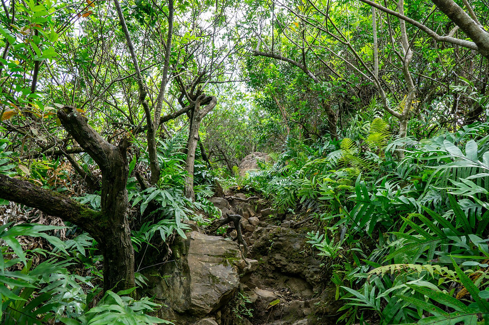 Olomana Trail ("Three Peaks") on Oahu, Hawaii