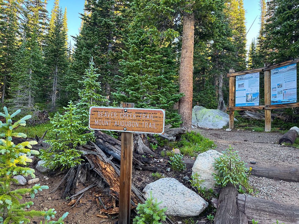 Mount Audubon Trail | Colorado