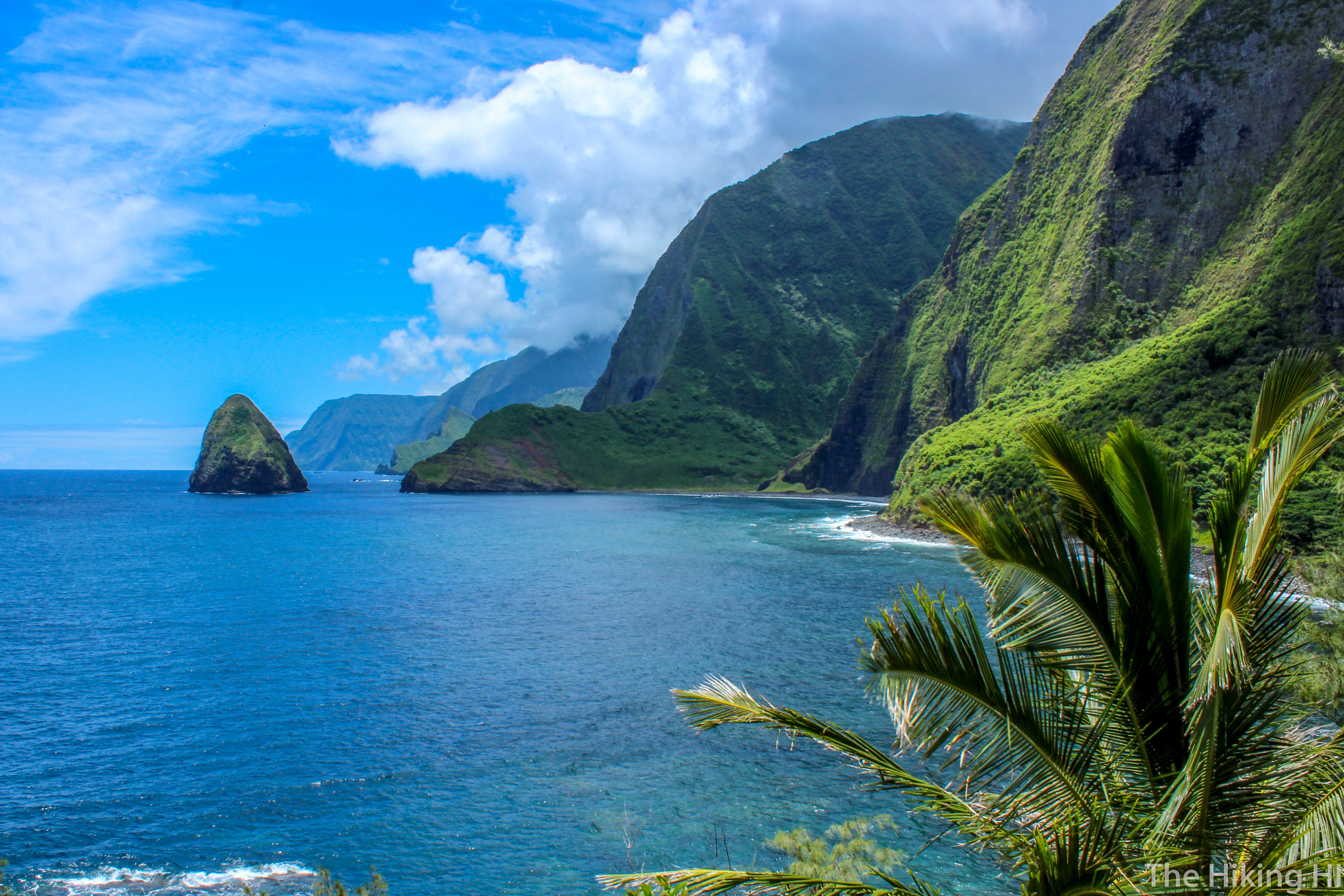 Molokai Sea Cliffs