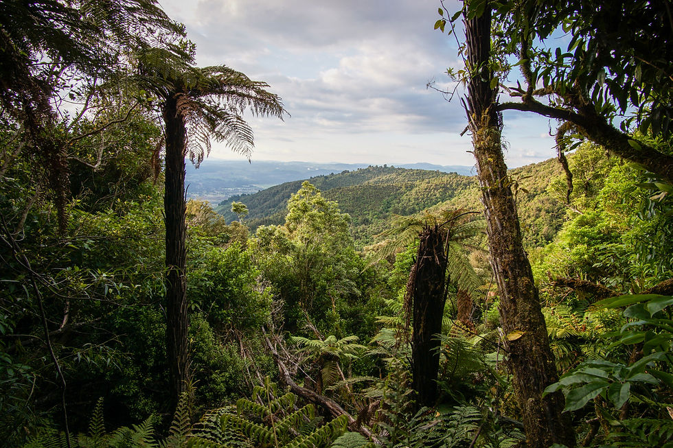 Mount Tauhara Track, New Zealand
