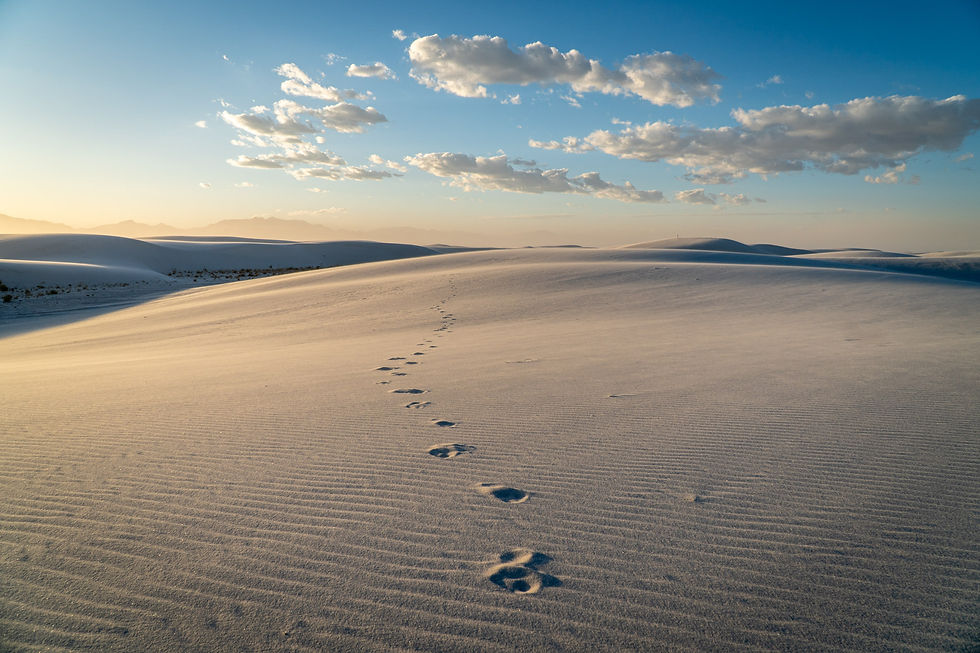 Alkali Flats Trail, White Sands National Park, New Mexico