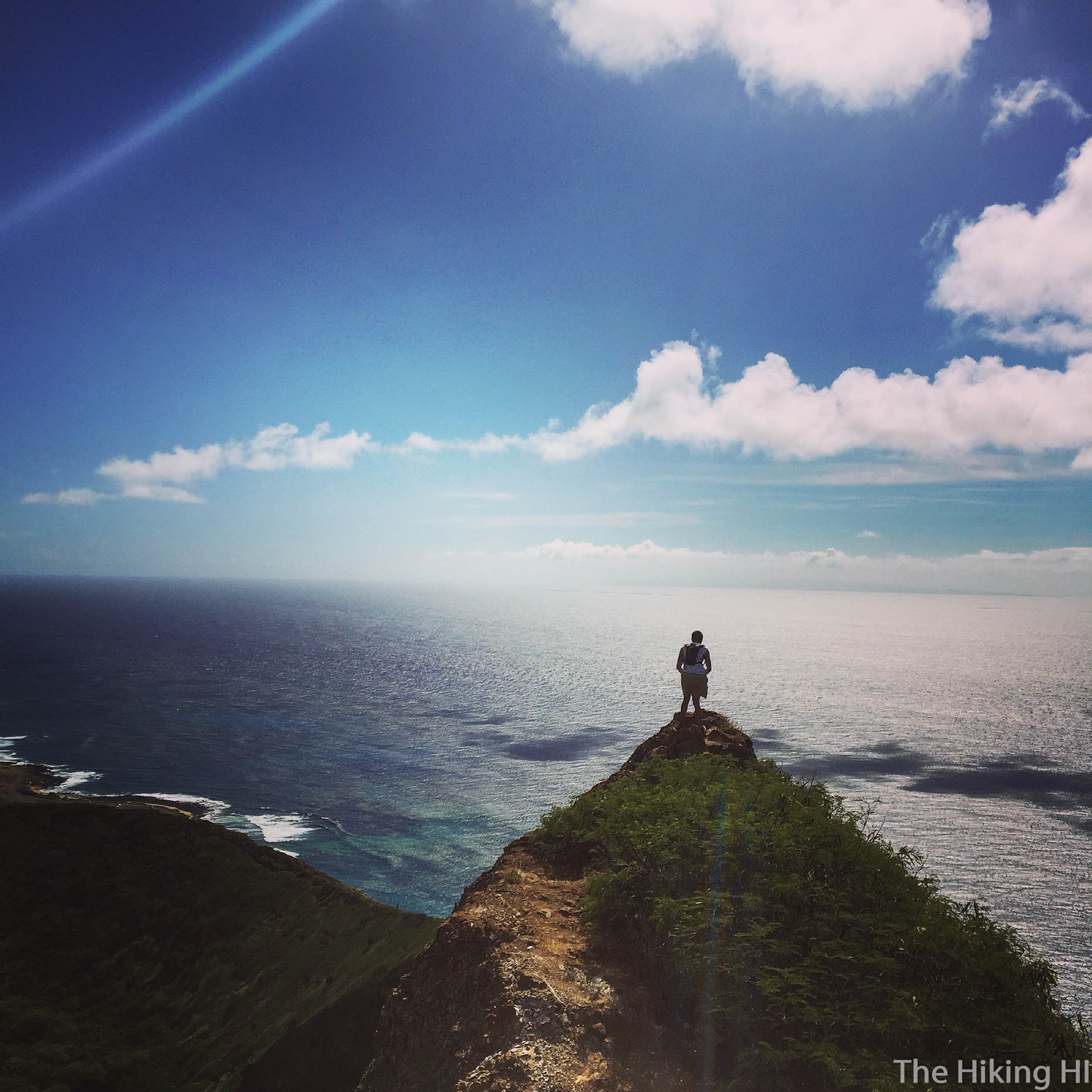 Man, Land, and Sea