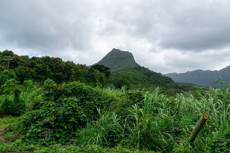 Olomana Trail ("Three Peaks") on Oahu, Hawaii