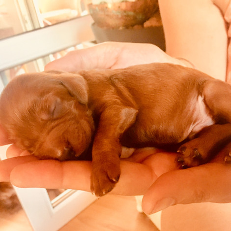 image00003.jpeg