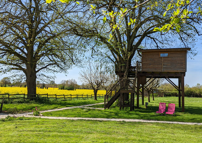 La Cabane Familiale vue d'en bas