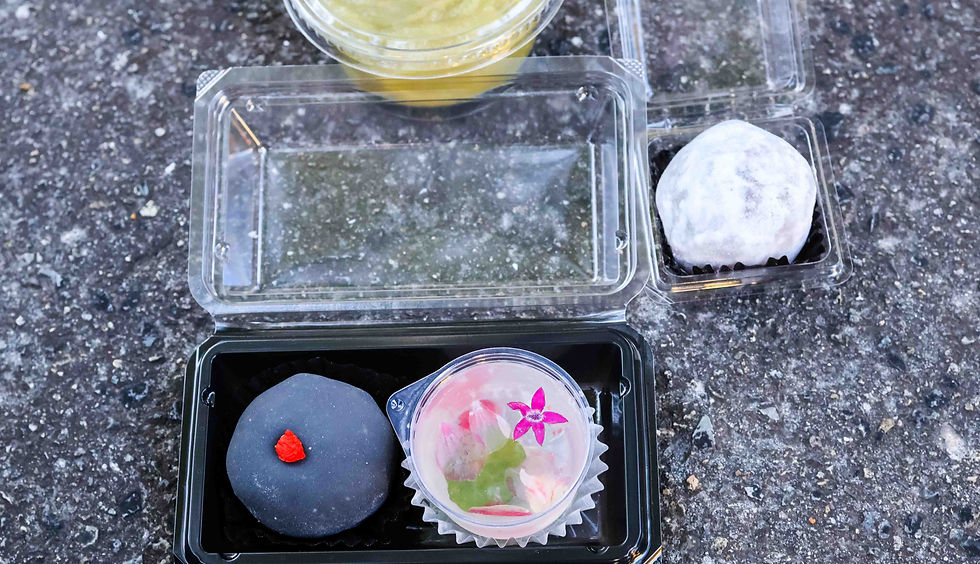Mochi in Yanaka Ginza