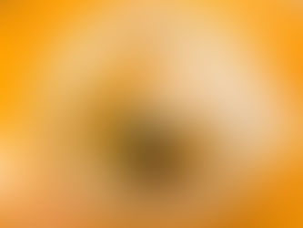 Harukiya – Ramen Fortress in Ogikubo Since 1949