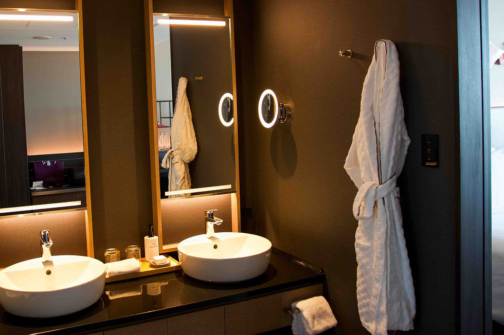 Swanky Bathroom