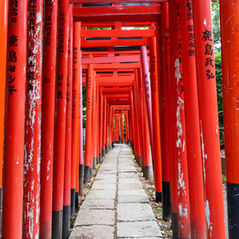 Nezu Shrine Gates