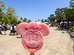 What to Eat at Tokyo DisneySea