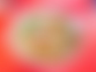 Ide Shoten - Best Ramen in Wakayama? 