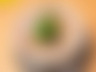 What to Eat in Tokyo - Tonkotsu Ramen at Kazu