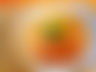 Premier Chofu Ramen – Shibasakitei