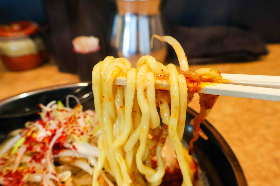 Thick Noodles