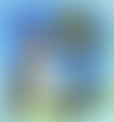 警備員スターティングメンバ―先着10名限定募集(年間業務)!