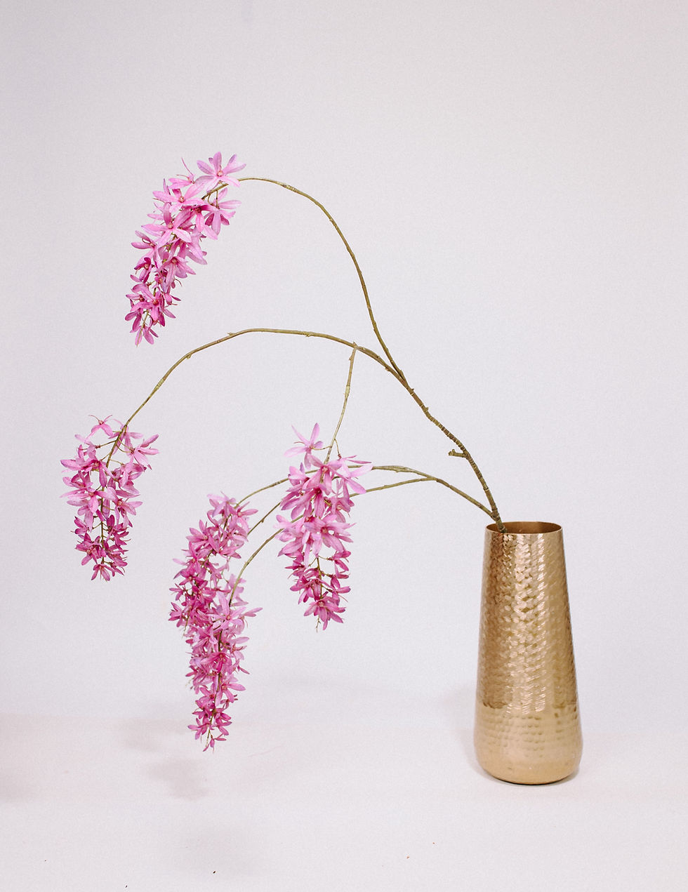 Thumbnail: Wisteria roze