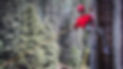 1T1A5747.jpg
