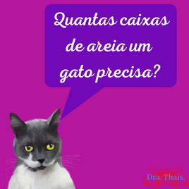 Quantas caixas de areia um gato precisa?