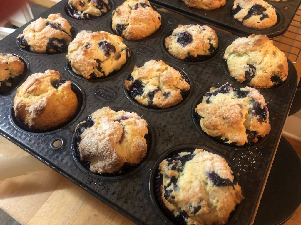Blueberry Muffins