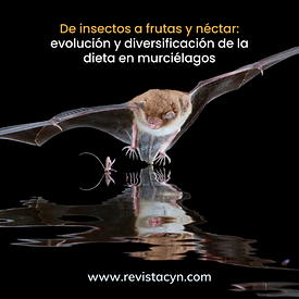 shutterstock_1898354080_edited.jpg