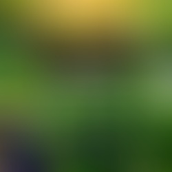 Los insecticidas ¿Cómo dañan a los insectos benéficos?