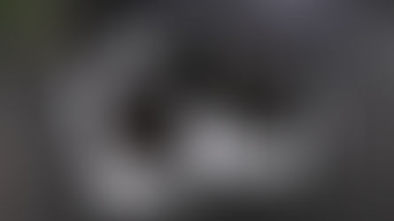 Are you inspiring your team to innovate?