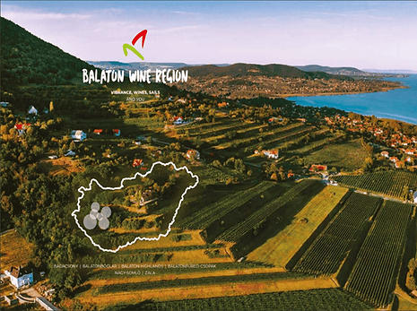 Luftaufnahme der Weinregion Balaton mit Weinbergen und grünen Feldern, die sich bis zu einem grossen Gewässer erstrecken, mit einem Dorf und verstreuten Häusern in der Landschaft. Ein Kartenumriss und eine Textüberlagerung heben den Namen dieser malerischen Region hervor.