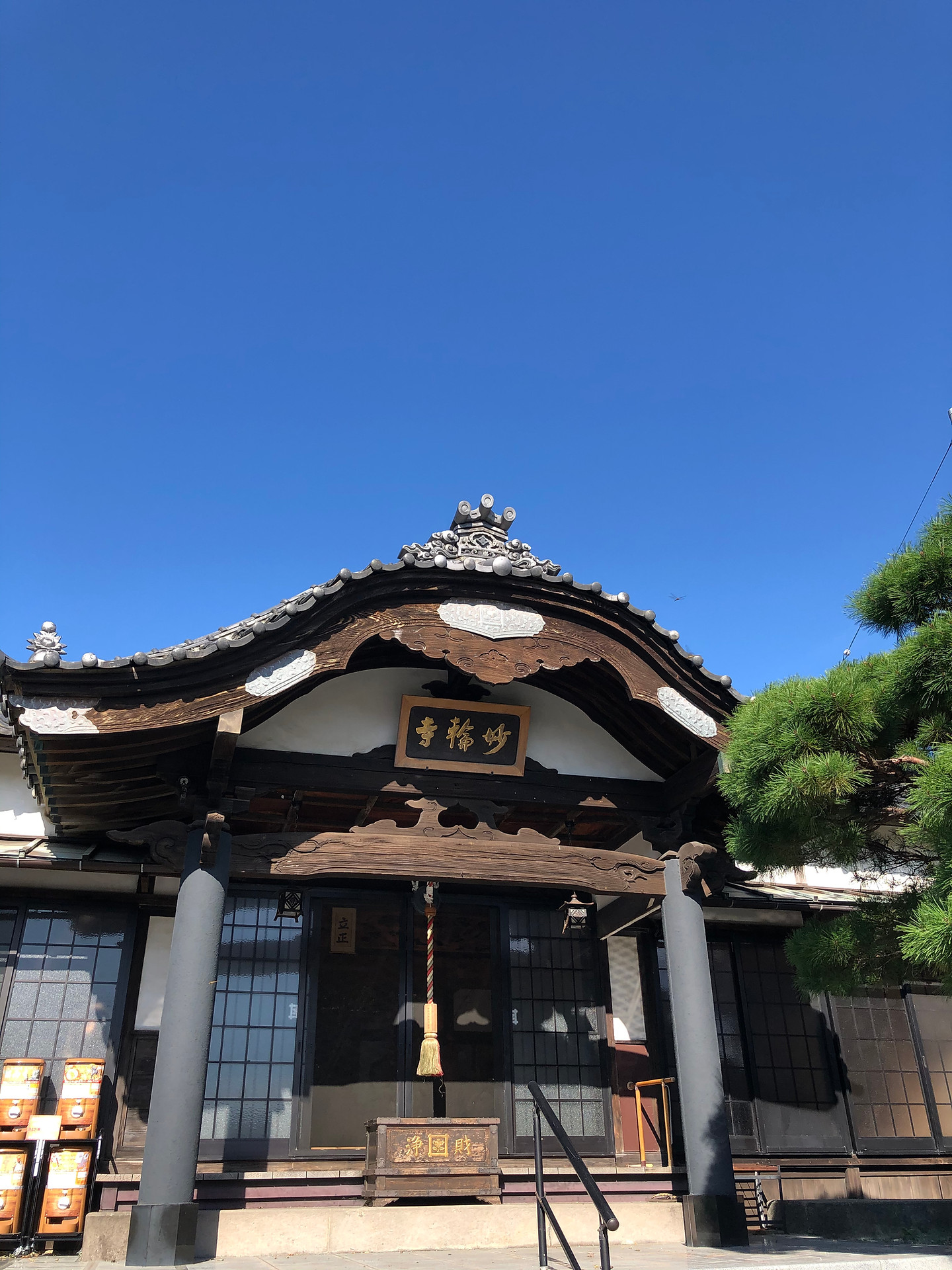IMG_6887.jpeg