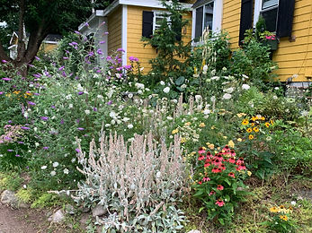 Cottage After 2.2.JPG