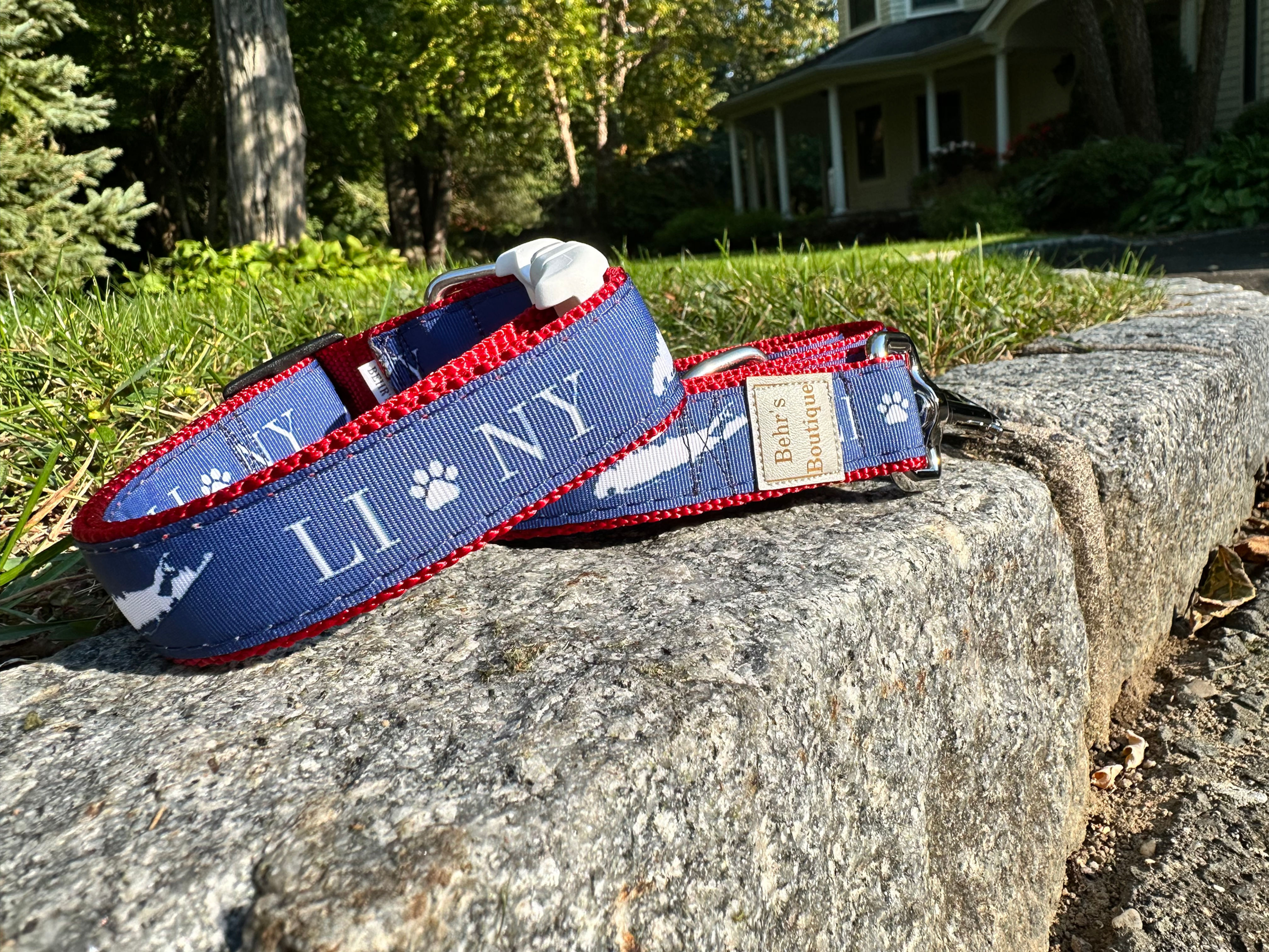 The LI Classic Collar