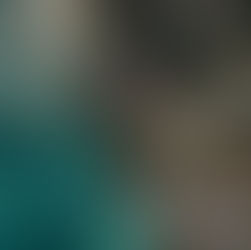 A couple lies on the rocky shore on Oahu's turquoise beach as a giant sea turtle swims in the ocean at their side as captured by a drone.