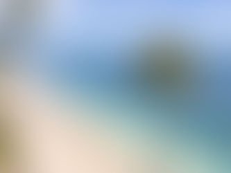 The Art of Island Imagery: Why a Hawaii Beach Photographer is Your Vacation Game-Changer