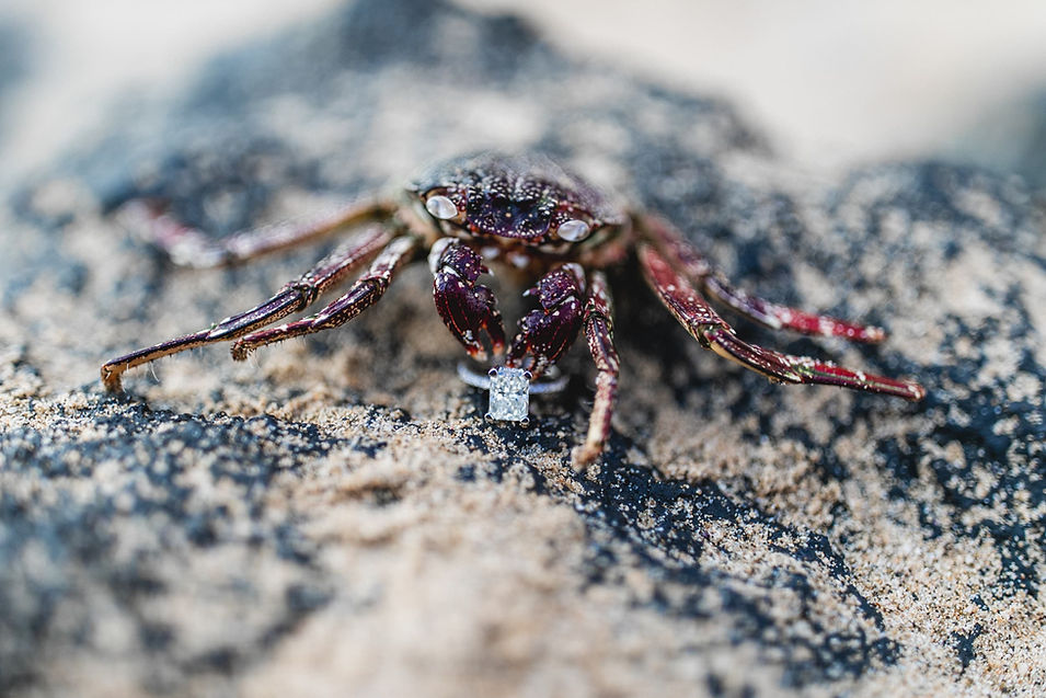 eternity-beach-halona-cove-proposal-engagement-session-jenna-lee-pictures-17.jpg