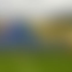 Samba Foundation FC Squad