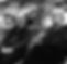 Image-empty-state_edited.jpg