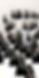 Image-empty-state_edited.jpg