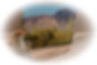 _MG_9190-DeNoiseAI-denoise.jpg